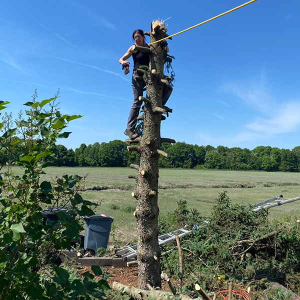 Coleen on a tree